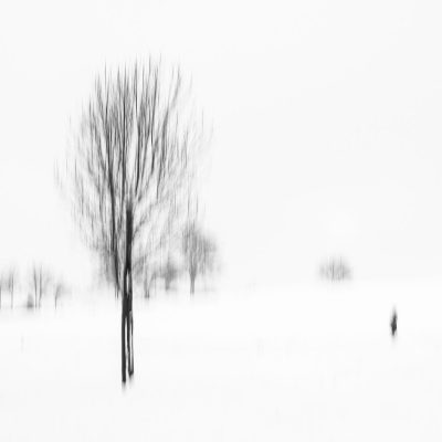 Minimalistic winter tree