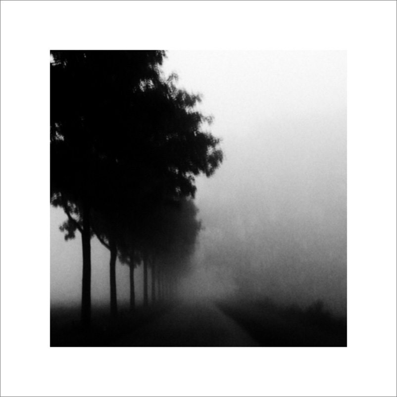 Landscape of fog and trees poetic fine art photography print